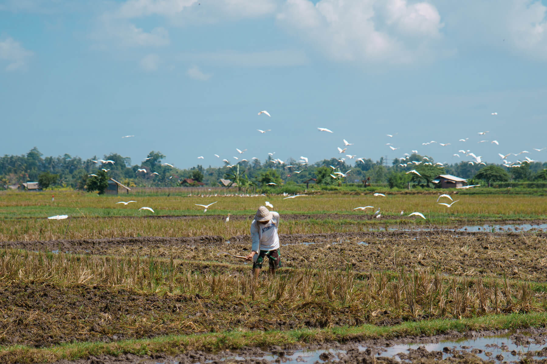 Fundraising Campaign Green School Foundation