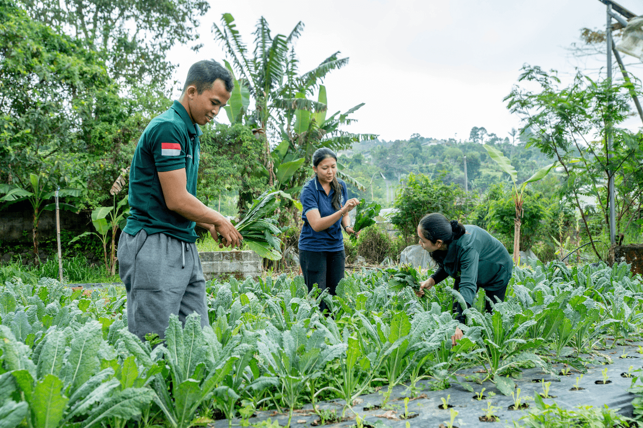 Agricultural scholarship student in the field